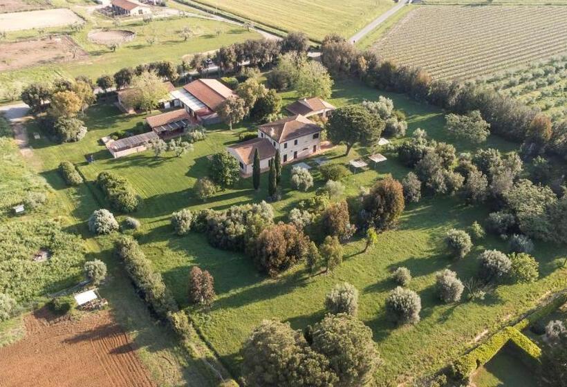 Номер Стандарт Адаптированный для Инвалидов, Tenuta Agricola Dell Uccellina