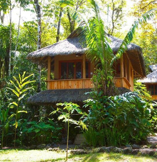 Номер Стандарт, Copa De Arbol Beach & Rainforest Resort