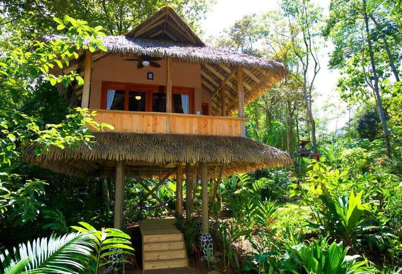 Номер Стандарт, Copa De Arbol Beach & Rainforest Resort