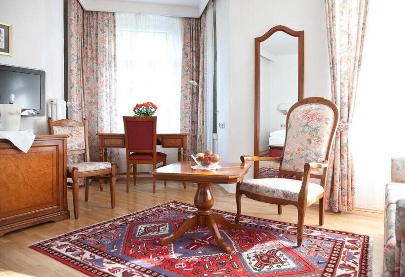 舒适型单人间, Residence Hotel Gasser