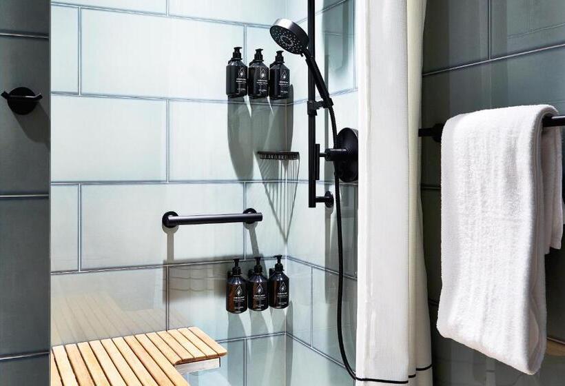 اتاق استاندارد با تخت بزرگ برای معلولان, Indigo Nyc Financial District, An Ihg