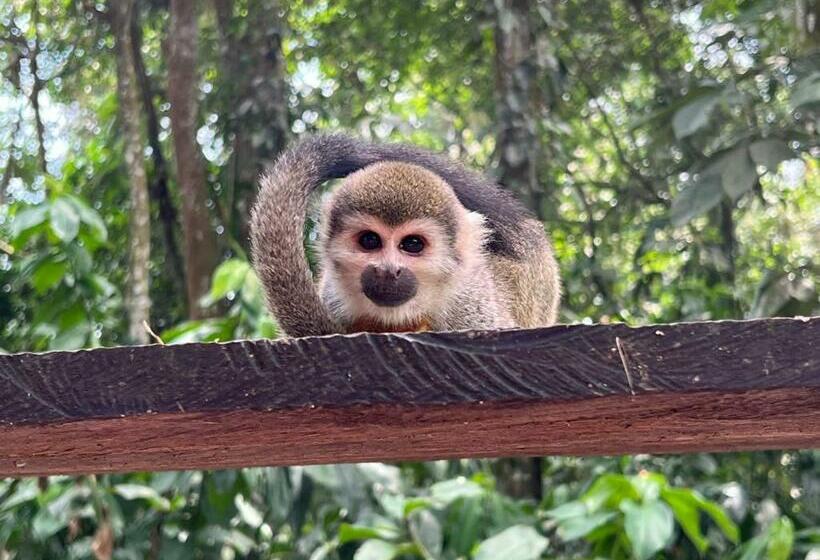 Hus 1 Soveværelse, Karupa Amazonas