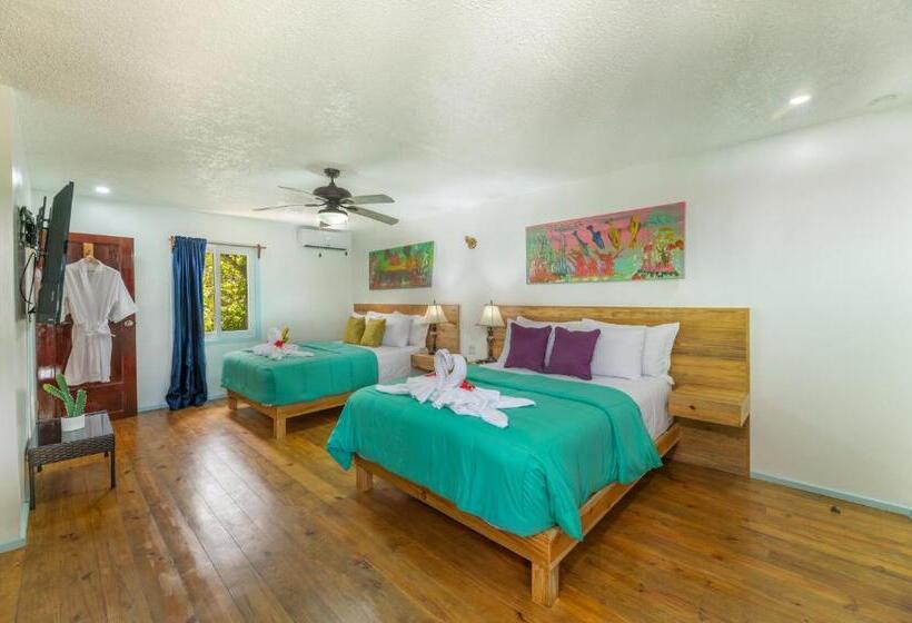 سوئیت با تخت بزرگ, And Dive Center Roatan Yacht Club
