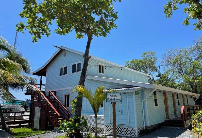 استودیو استاندارد با تخت کینگ, And Dive Center Roatan Yacht Club