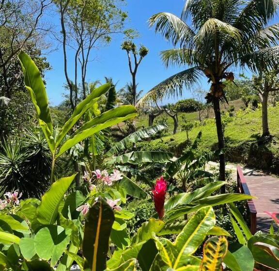 سوییت با چشم‌انداز دریا, And Dive Center Roatan Yacht Club