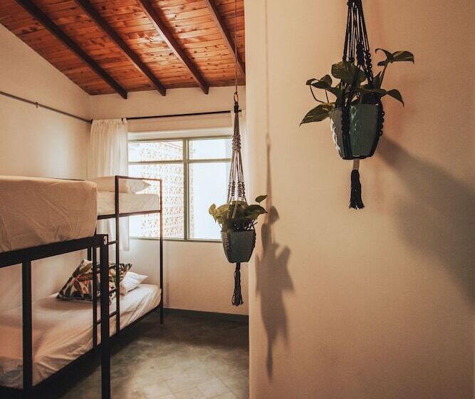 패밀리 룸, Centro Hostel Medellin
