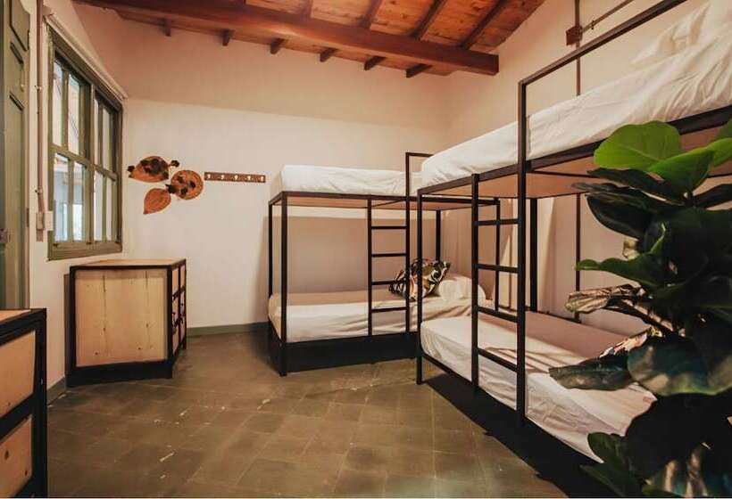 공동 객실, Centro Hostel Medellin