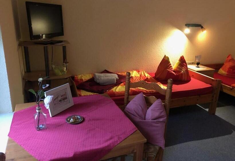 Номер Стандарт, Pension Petersohn