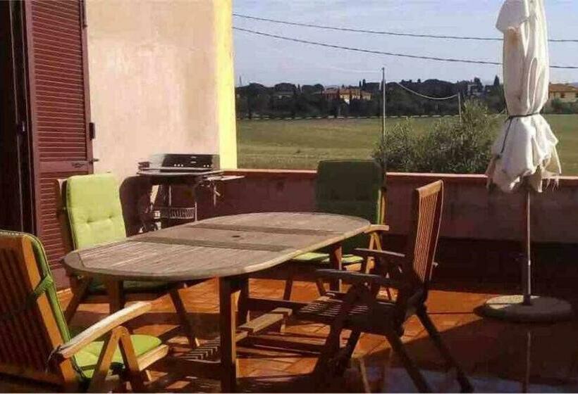 Апартаменты 1 Спальня с Террасой, Agriturismo Podere Santa Virginia