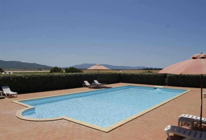 Апартаменты 1 Спальня с Террасой, Agriturismo Podere Santa Virginia
