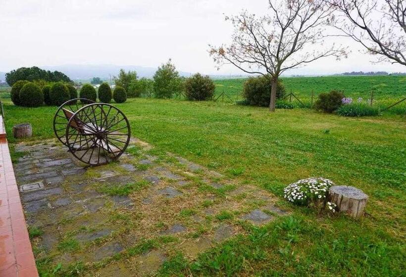 Номер Стандарт Вид на Сад, Agriturismo Podere Santa Virginia