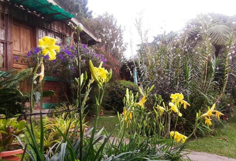 Семейный Номер Superior, Hostal Cabañas Ave Maria