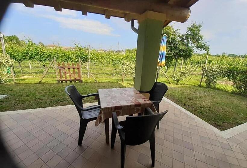 Семейное Студио, Agriturismo Lizzarola