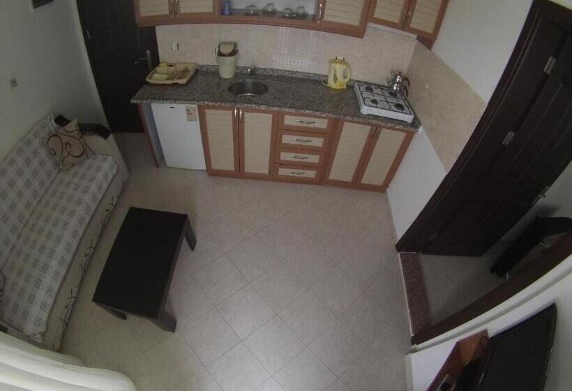 آپارتمان 1 خوابه با چشم‌انداز باغ, Oğuz Apart