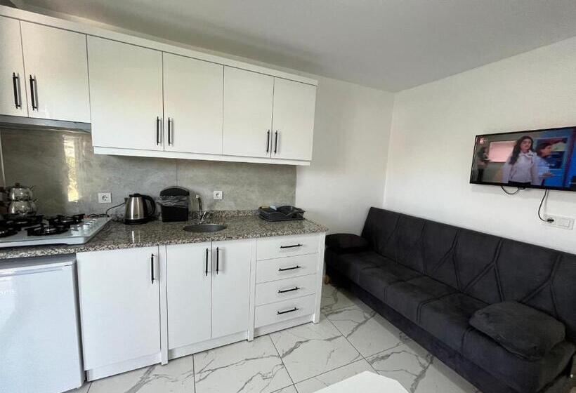 استودیوی استاندارد, Oğuz Apart