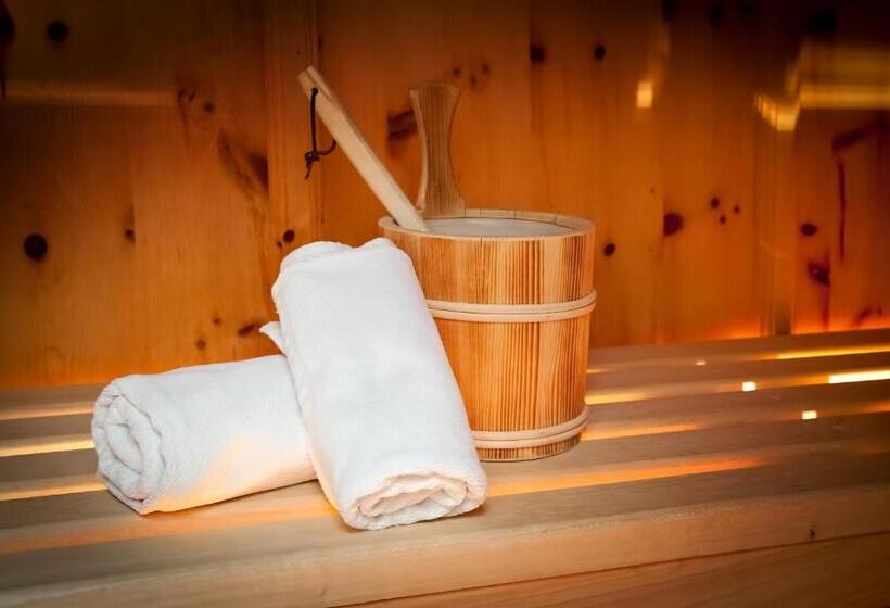 Пентхаус Люкс, Alpenbad Hotel Hohenhaus