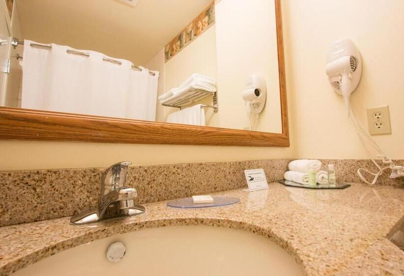 Люкс Deluxe Кровать Кинг, Blue Gate Garden Inn