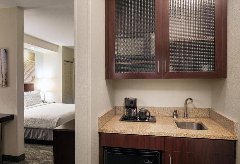 带大床的套房, Springhill Suites Bakersfield
