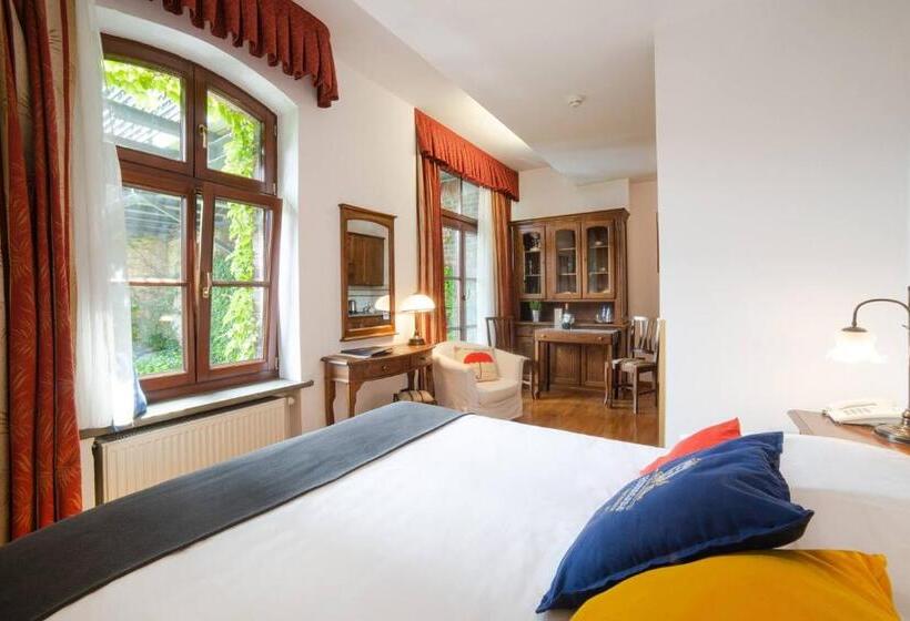 Номер Deluxe, Aparthotel Hornigold W Zielonej Kamienicy
