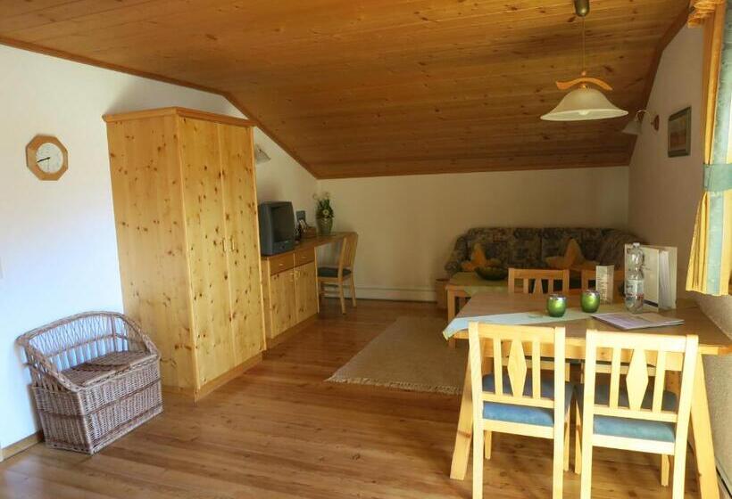 آپارتمان سوپریور 1 خوابه, Appartement Breitlehn