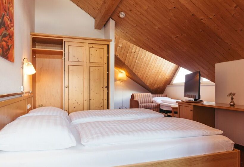 Номер Комфорт, Nassereinerhof