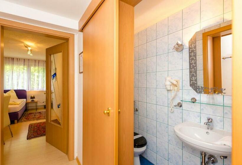 Номер Стандарт Индивидуальный, 1a Hotel Steiner