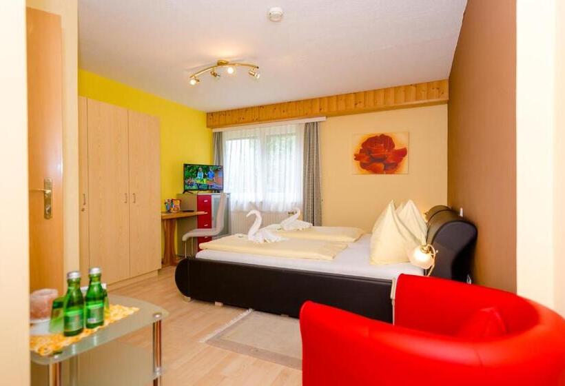 Номер Стандарт, 1a Hotel Steiner