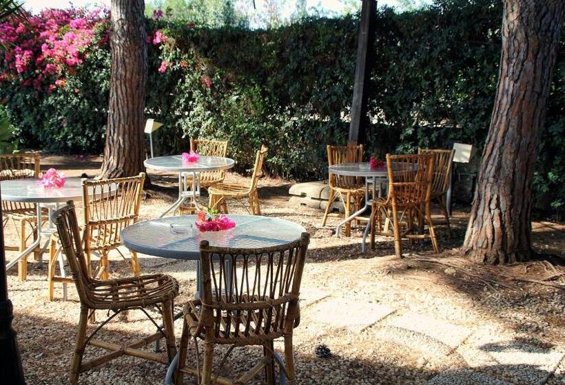 ویلای 1 خوابه, Suite House L'isola Che Non C'è