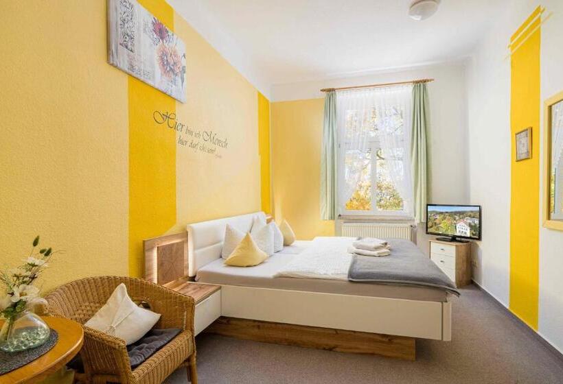Номер Стандарт, Pension Schmidt