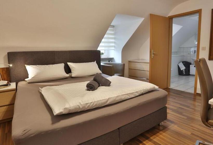 标准间, Prinz Carl   Apartments Mit Klimaanlage