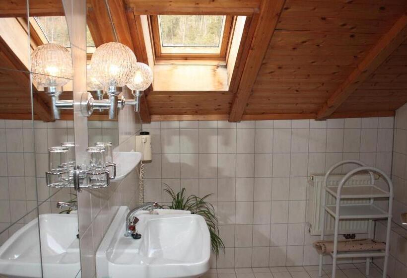 Номер Комфорт, Schwarzwald Gasthof Hirsch