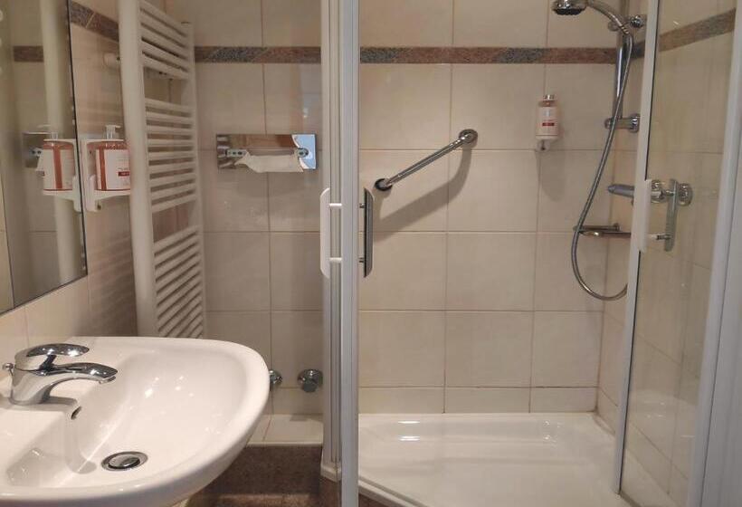 Plus Standaardkamer, Vakantiehotel Der Brabander