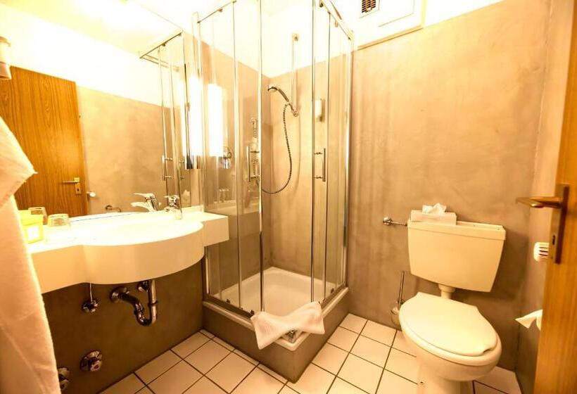 单人基本间, Parkhotel Hammerberg