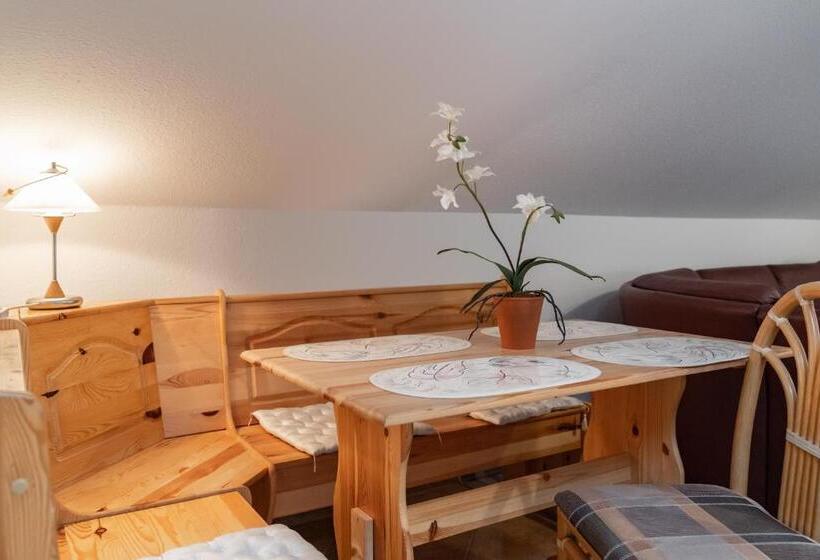 Апартаменты 1 Спальня с Видом, Garni Jägerhof