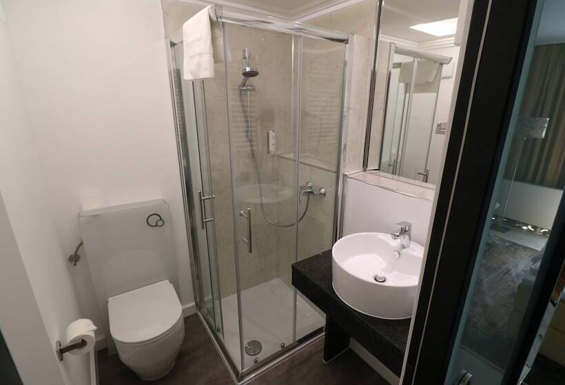 اتاق استاندارد, Salinenparc Design Budget