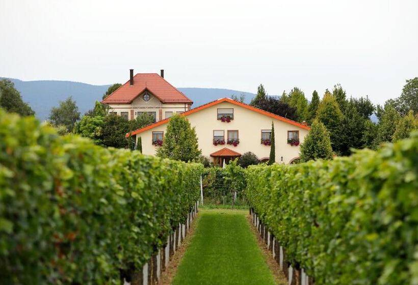 Номер Стандарт, Villa Hochdörffer Gästehaus