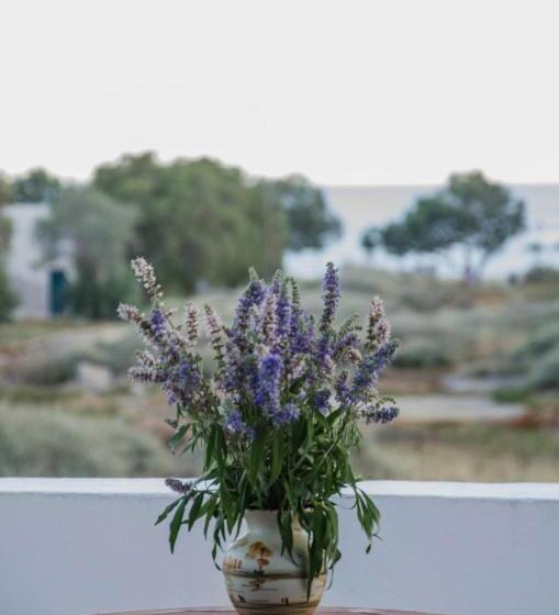 شقة غرفة واحدة مطلة على البحر, Villa Maria