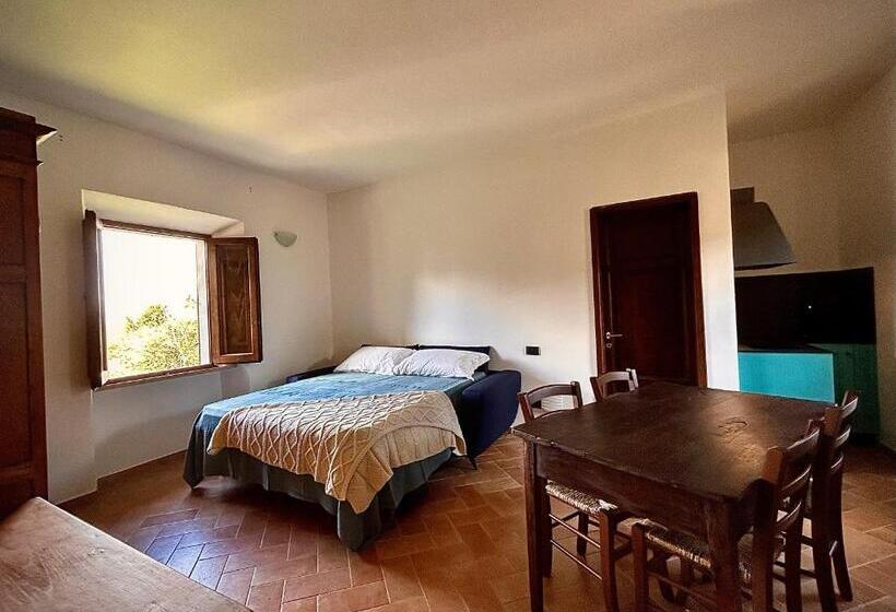 إستوديو قياسى سرير كينج, Villa Mucellena