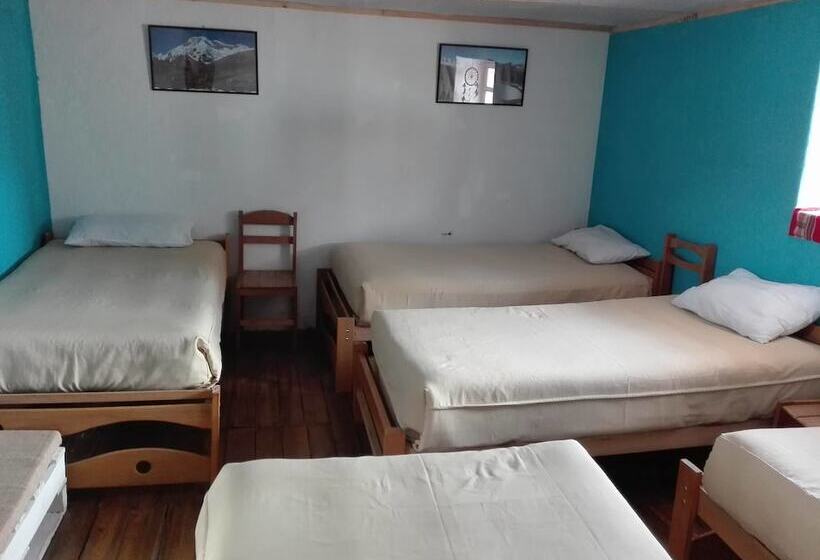 Кровать в Общей Комнате, New Day House In Cusco   Hostel