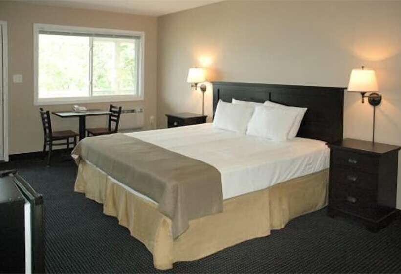 Номер Стандарт 2 Двуспальные Кровати, The Beach Inn Motel