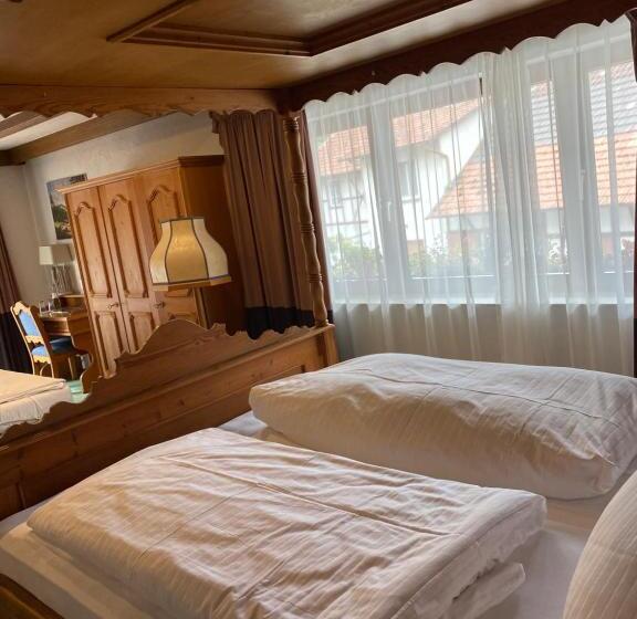 Полулюкс, Landhotel Traube