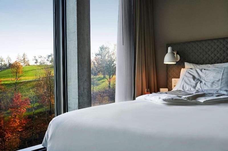 Номер Стандартный с Видом, Hyatt Place Zurich Airport The Circle