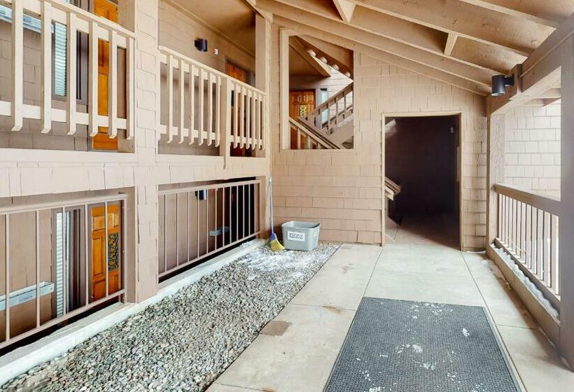 Студия Стандарт, Timber Run Vista 2