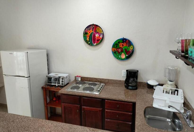 إستوديو قياسى مزودة بتراس, Cabañas Puerto Morelos