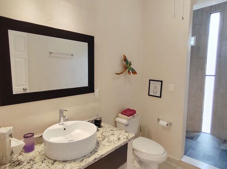 جناح مطلّ علي حمام السباحة, Cabañas Puerto Morelos