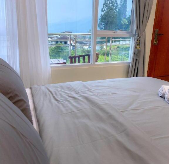 스탠다드 발코니 스튜디오, Algara Puncak