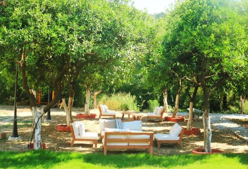 Номер Стандарт Индивидуальный, Orange Garden Hotel Akyaka