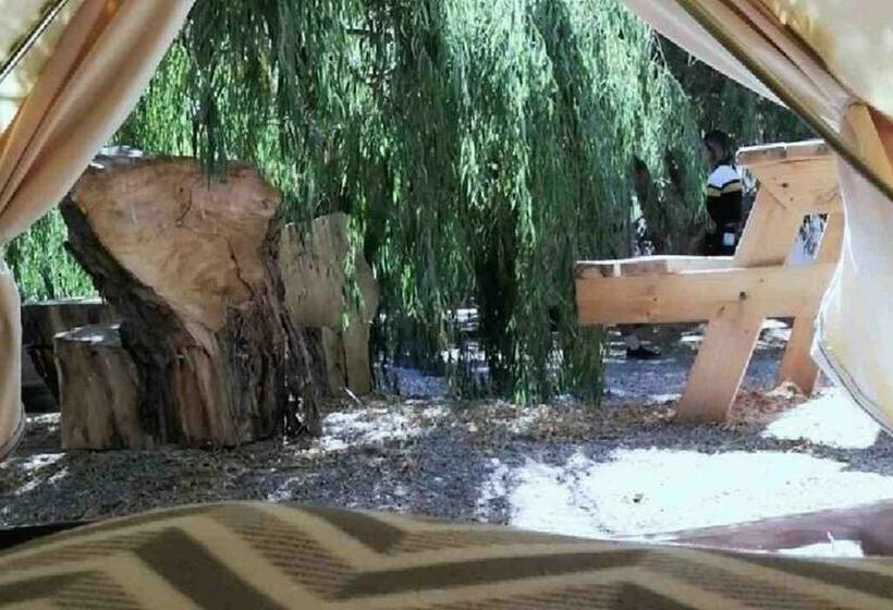 Номер Deluxe, Glamping Miraflores