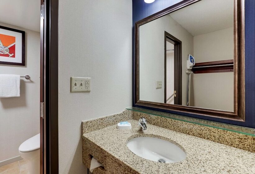 Номер Deluxe, Drury Inn & Suites St. Louis St. Peters