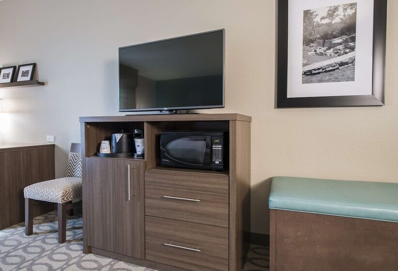 Стандартный Номер Кровать Кинг, Hampton Inn Greenville/i385 Haywood Mall